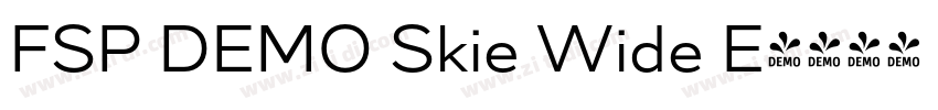 FSP DEMO Skie Wide E字体转换